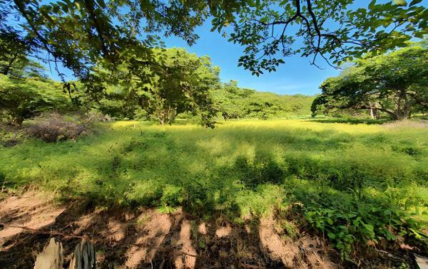 0000 Guanacaste Belen Carrillo, Out Of Country, 00000