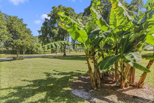 Boca Raton, FL 33428,21404 Cypress Hammock DR 45a