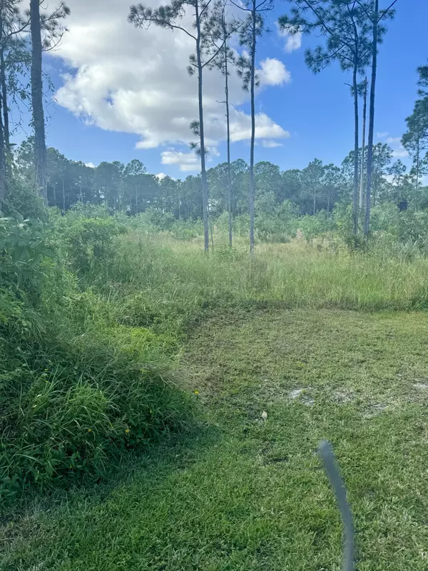 The Acreage, FL 33470,16777 N 78th RD