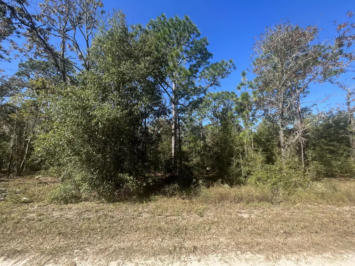 Ocala, FL 34481,0 SW 141st TER