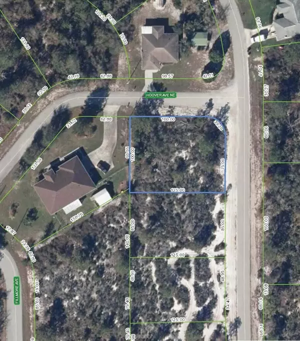 321 NE Coolidge AVE, Lake Placid, FL 33852