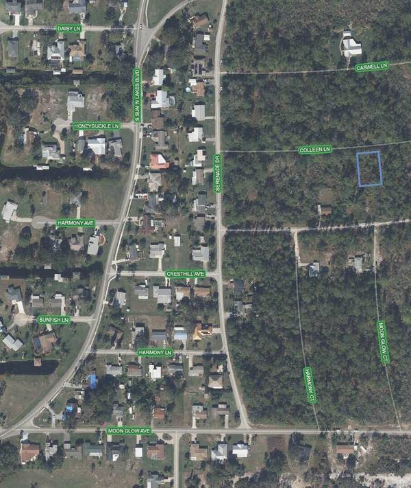 Lake Placid, FL 33852,225 Colleen LN