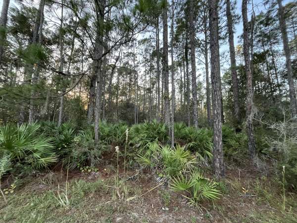 Interlachen, FL 32148,Tbd Royal AVE