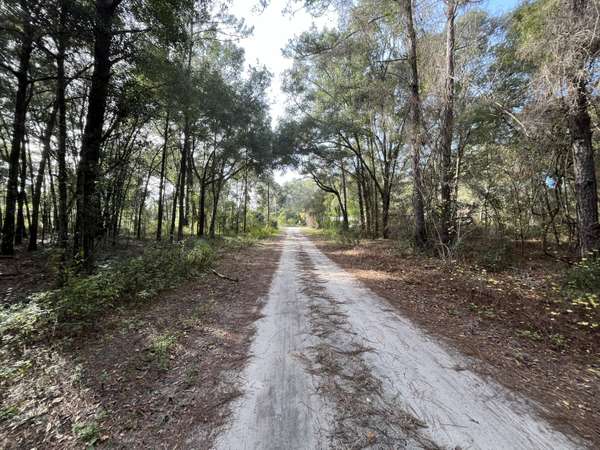 Belleview, FL 34420,Tbd SE 131st ST