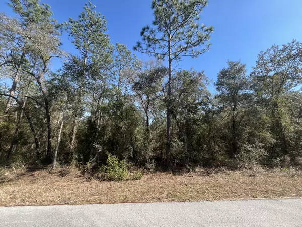 Tbd SW Big Tree RD,  Dunnellon,  FL 34431