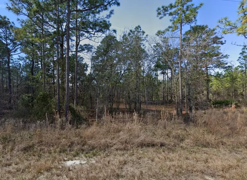 0 Greenback RD 14, Weeki Wachee, FL 34614