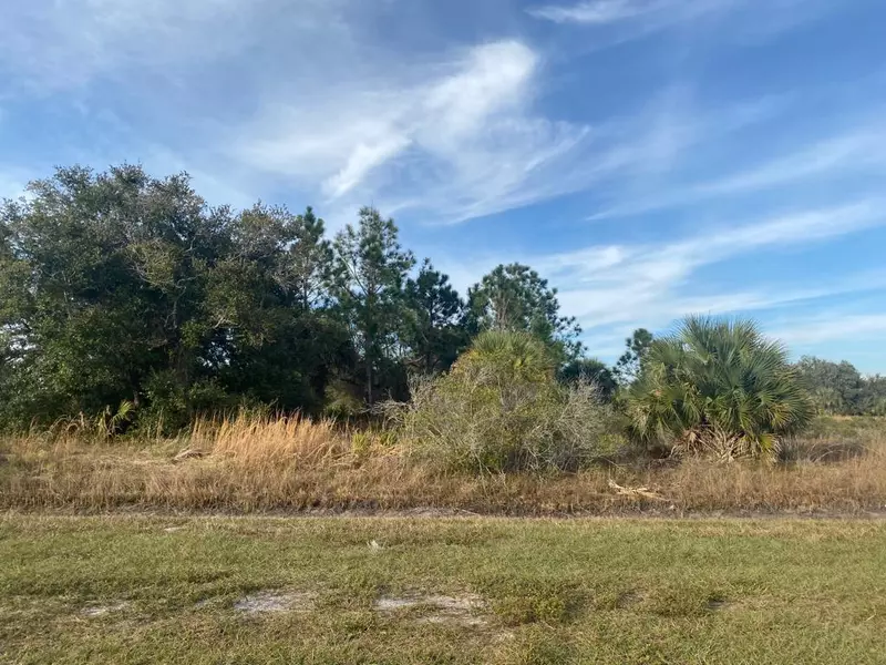 16533 NW 316th ST, Okeechobee, FL 34972