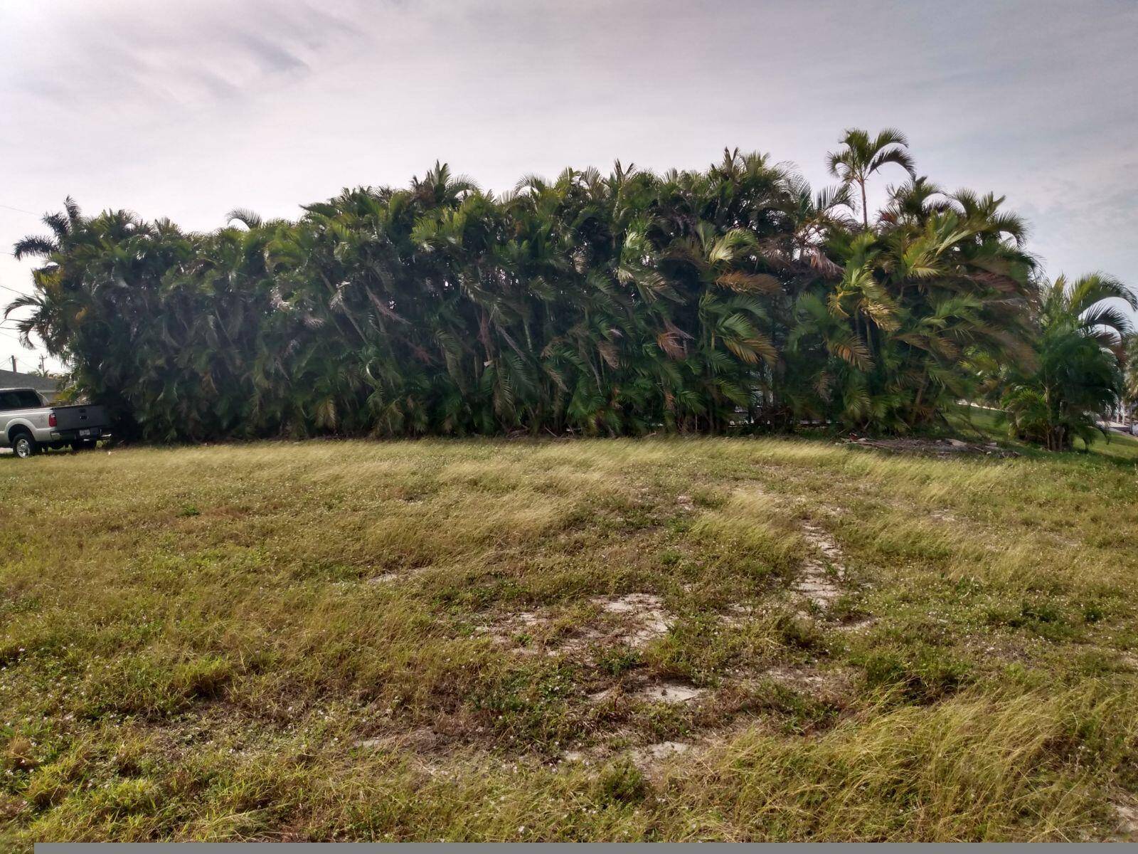 Cape Coral, FL 33990,1727 SE 16th ST Lot 21