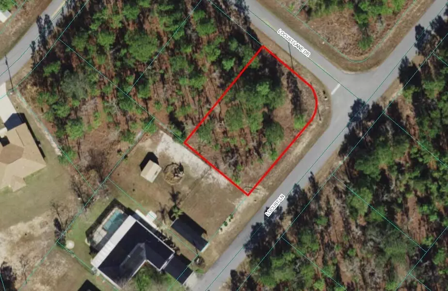 0 Locust Ln, Ocklawaha, FL 32179