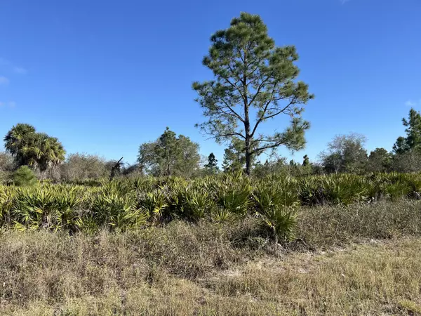 Labelle, FL 33935,7762 15th PL