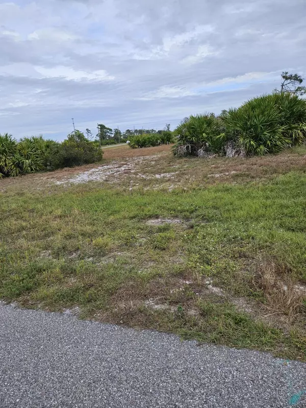 Placida, FL 33946,2 N Brig CIR