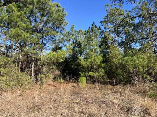 Marianna, FL 32448,Tbd Fairview RD