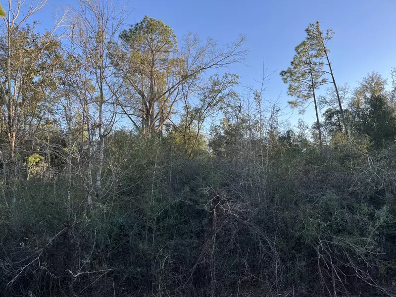 0 Deer Run, Alford, FL 32420