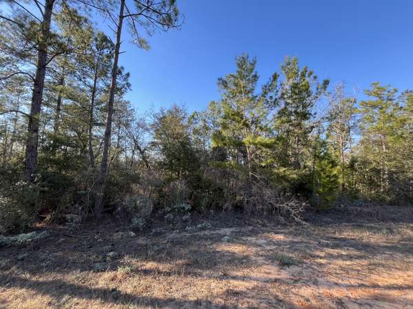 Tbd Deshutes DR, Alford, FL 32420