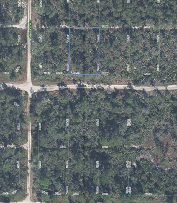 Sebring, FL 33872,556 Quail AVE