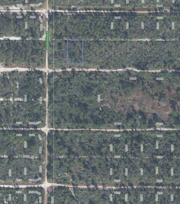 Sebring, FL 33872,556 Quail AVE