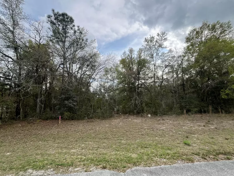 Tbd SW 133rd Lane RD, Dunnellon, FL 34432