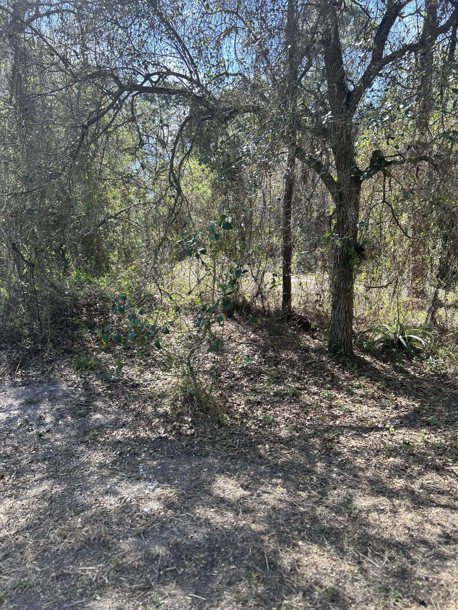 Clewiston, FL 33440,620 S Olivo ST