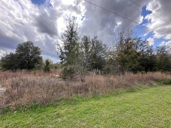 Dunnellon, FL 34432,0000 SW 107th ST