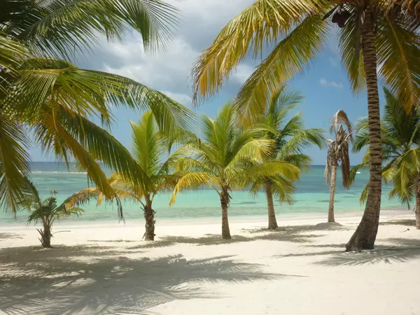 37 Av. Francisco Alberto CaamanO Penthouse, Casa De Campo, 22000