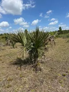 Okeechobee, FL 34972,18134 NW 298th ST