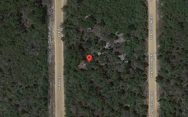 214 Usina AVE, Interlachen, FL 32148