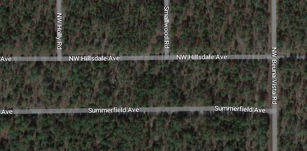 Dunnellon, FL 34431,Tbd NW Hillsdale AVE