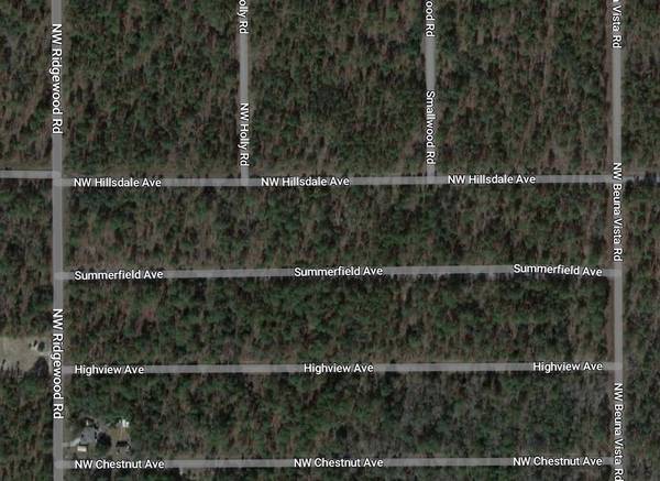 Dunnellon, FL 34431,Tbd NW Hillsdale AVE