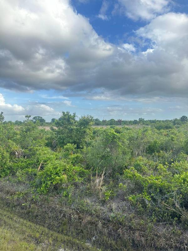 Okeechobee, FL 34972,16220 NW NW 264th ST