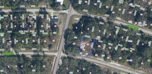 Lake Placid, FL 33852,3153 Oleander Dr DR