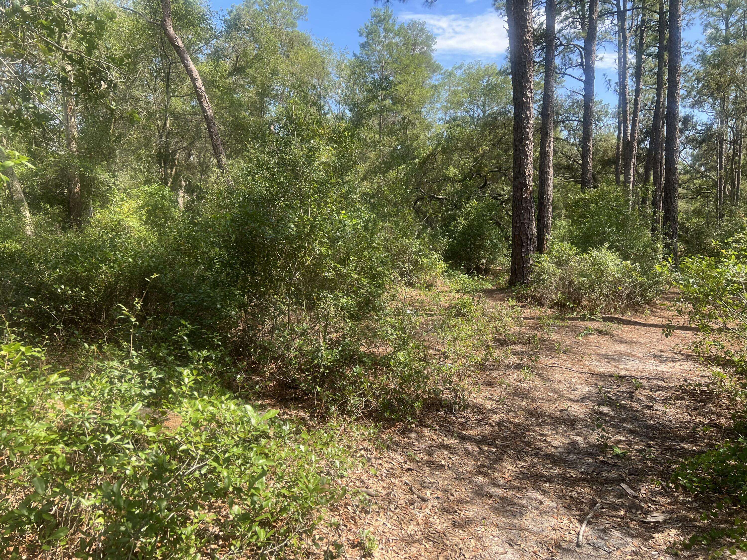 Undetermin SE 92 Nd PL, Ocklawaha, FL 32179