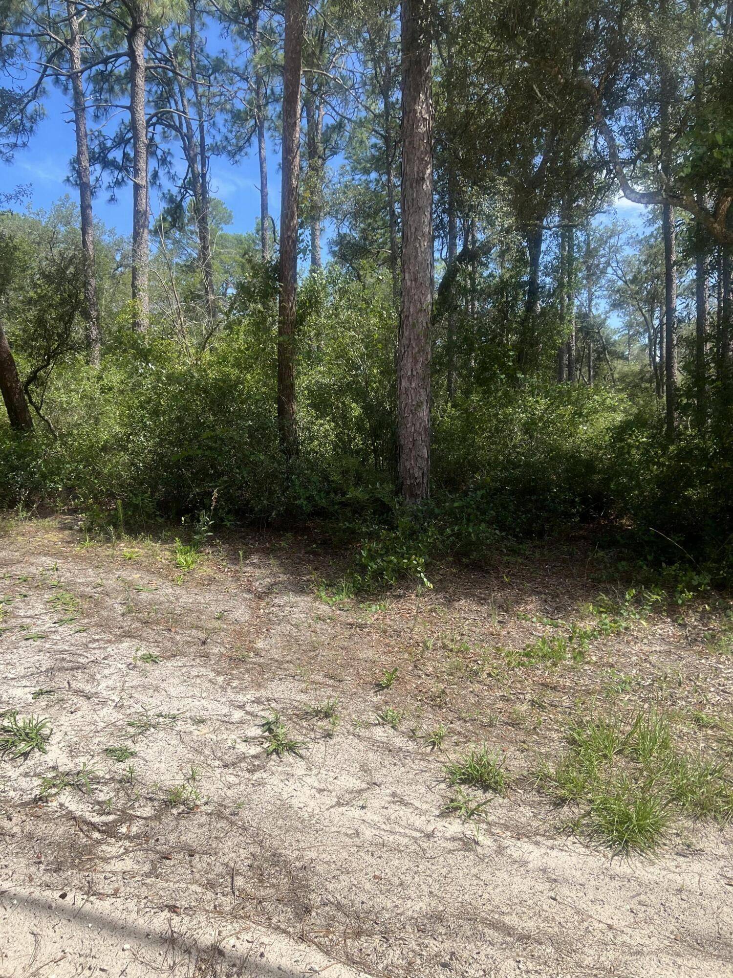 Ocklawaha, FL 32179,Undetermin SE 92 Nd PL