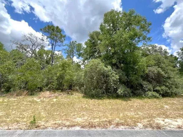 Ocala, FL 34473,Tbd SW 138 LN