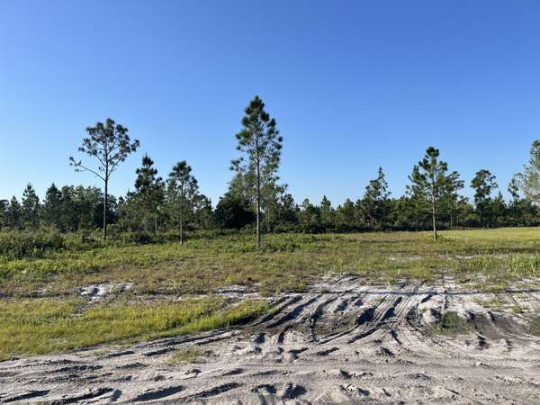 Indian Lake Estates, FL 33855,0 Calendula DR