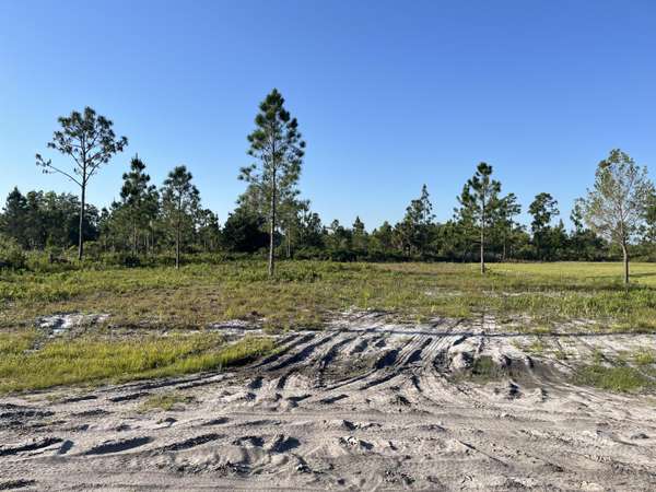 Indian Lake Estates, FL 33855,0 Calendula DR