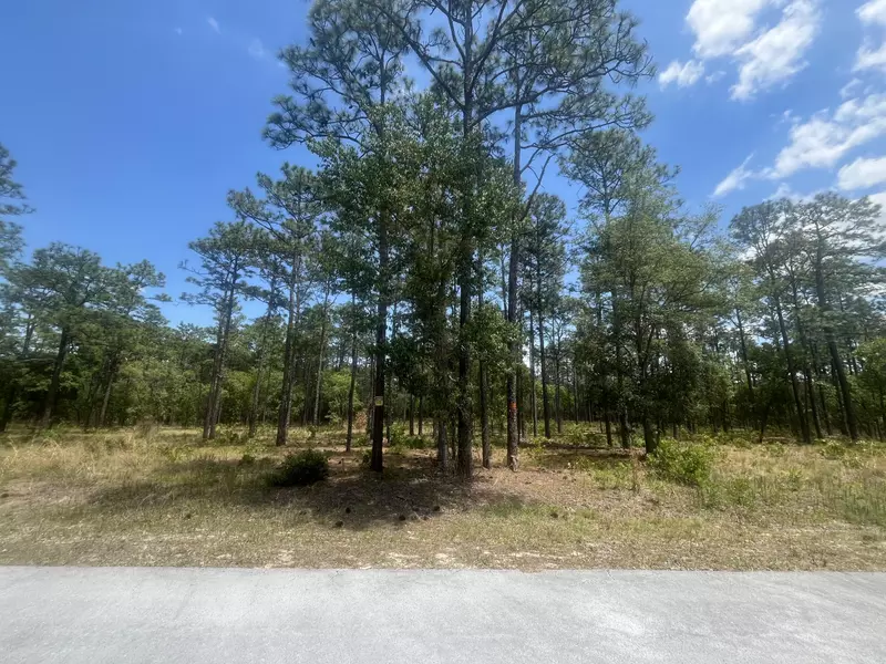 0 NW Tree Top, Dunnellon, FL 34431