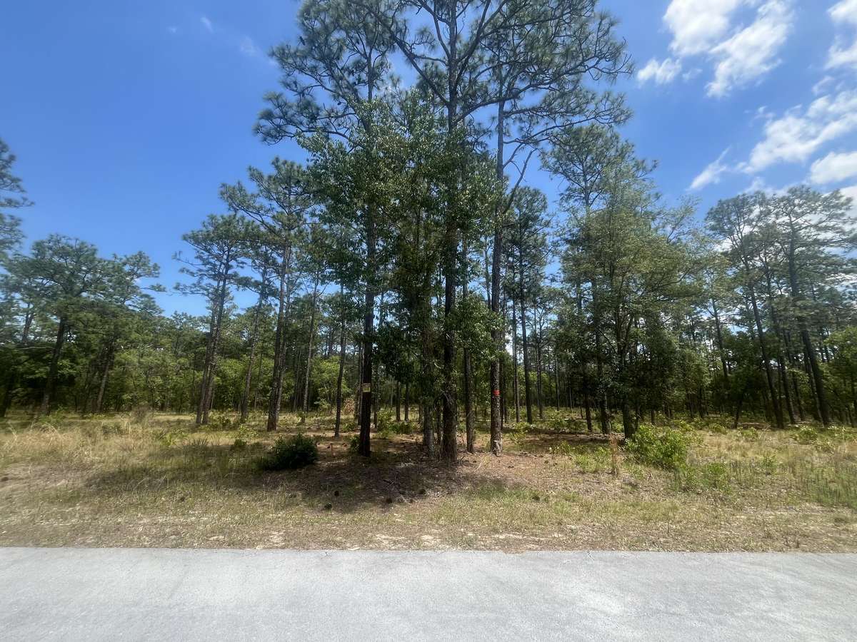 Dunnellon, FL 34431,0 NW Tree Top