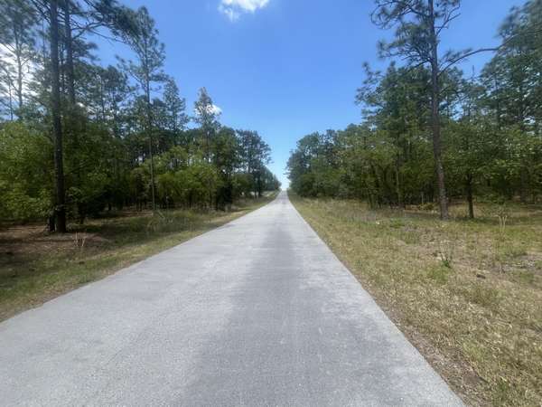 Dunnellon, FL 34431,0 NW Tree Top