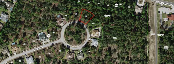 29 N Smilax CT, Homosassa, FL 34446