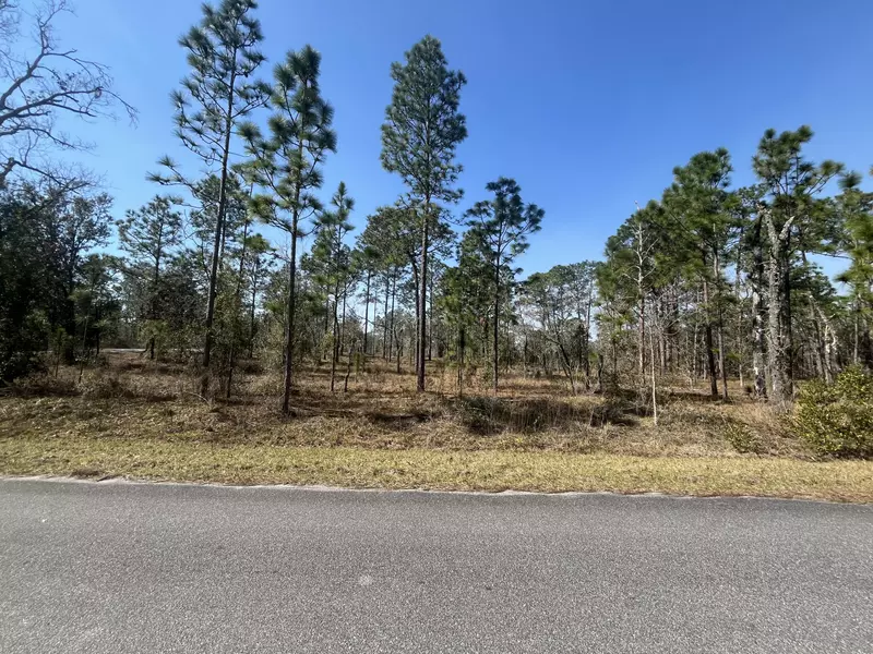 0 NW Wateroak AVE, Dunnellon, FL 34431