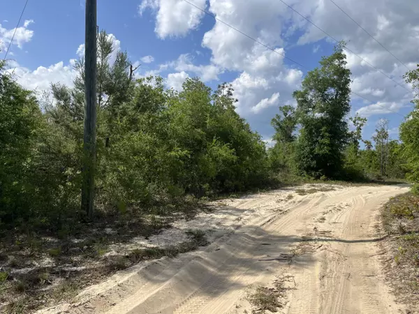 Alford, FL 32420,0 Corral DR