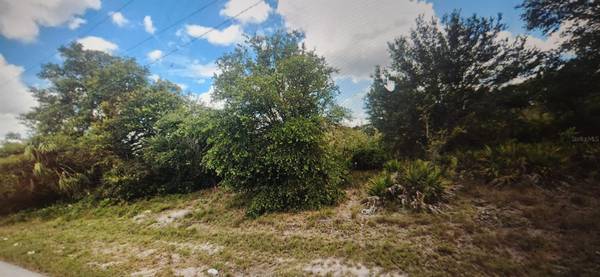 Lehigh Acres, FL 33971,2502 W 70th ST