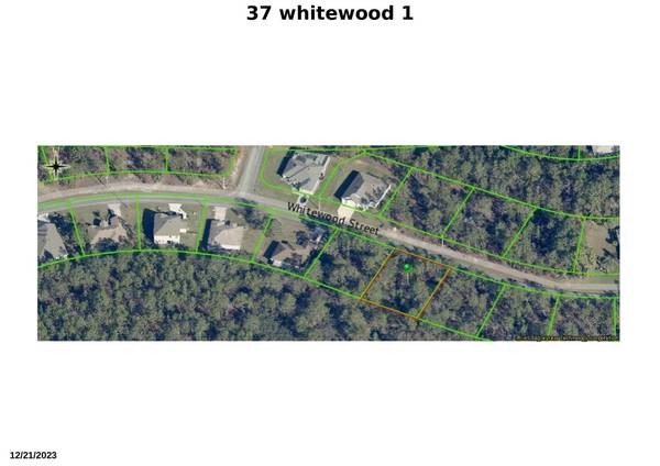 Homosassa, FL 34446,37 Whitewood ST