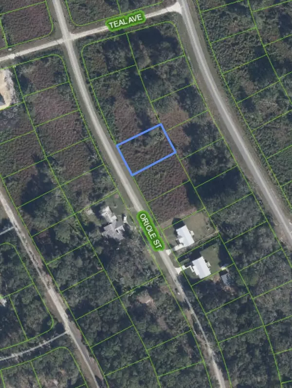 Lake Placid, FL 33852,1027 Oriole ST