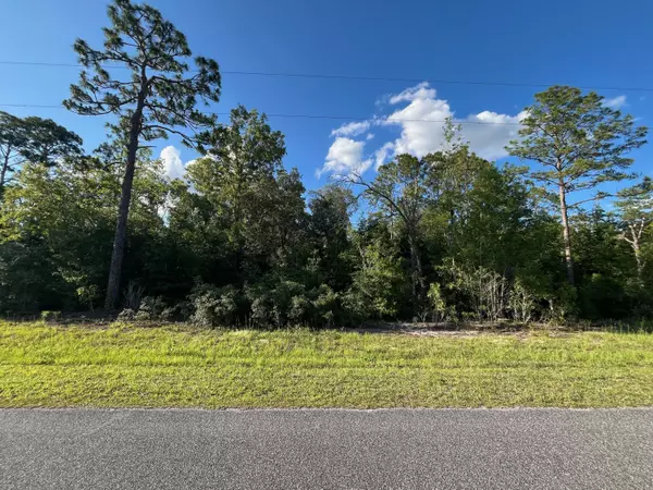 Morriston, FL 32668,0 SE 70th LN