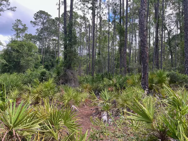 Hastings, FL 32145,0 James ST