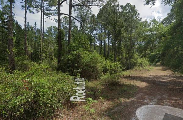 Georgetown, FL 32139,126 Roebuck ST