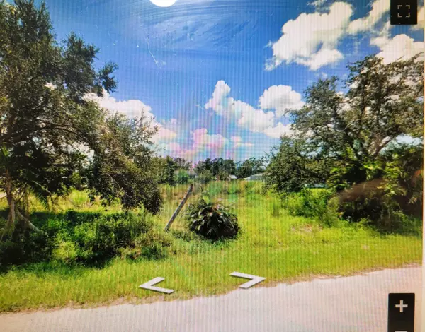 Punta Gorda, FL 33982,5385 Maze DR