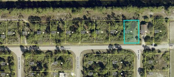 Lehigh Acres, FL 33974,1045 Gladys ST