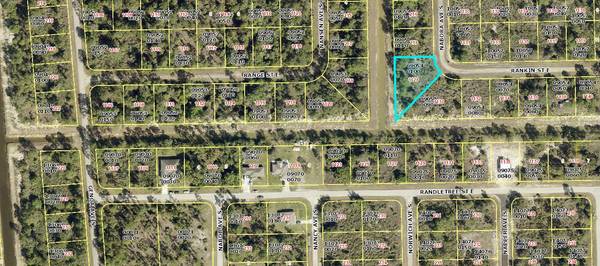 Lehigh Acres, FL 33974,1128 Rankin